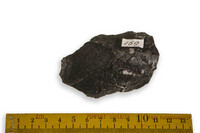 F 00159
<br/>
<br/>
<em></em>